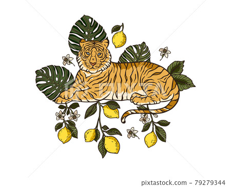 Tropical bengal tiger.Chinesee new year 2022. Tropical bengal tiger.Chinesee new year 2022. 79279344