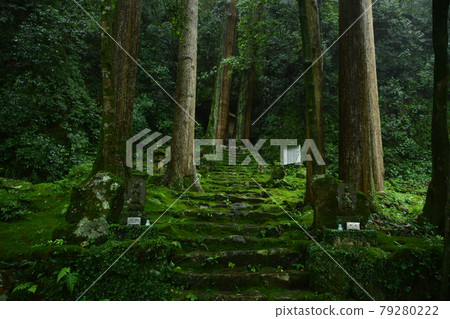 有深綠色苔蘚的美麗寺廟 有深綠色苔蘚的美麗寺廟 79280222
