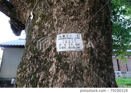 Sanno Shrine's Great Kusu 79280326