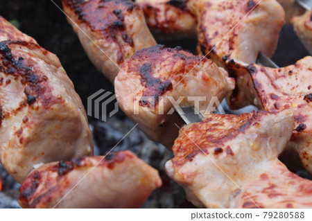 shashlik. Cooking meat on coals. picnic. barbecue. rest. Food in nature 79280588