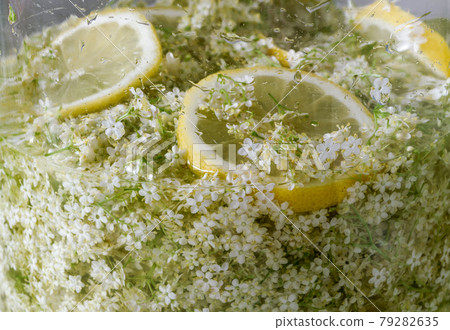 Lemon and elderflower soaked in sugar water Lemon and elderflower soaked in sugar water 79282635