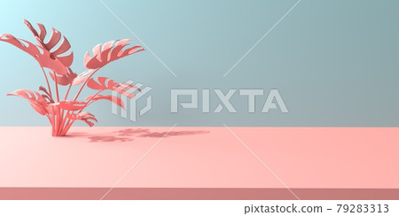 Tropical monstera leaves with shadow Tropical monstera leaves with shadow 79283313