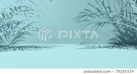 Tropical palm leaves with shadow Tropical palm leaves with shadow 79283314