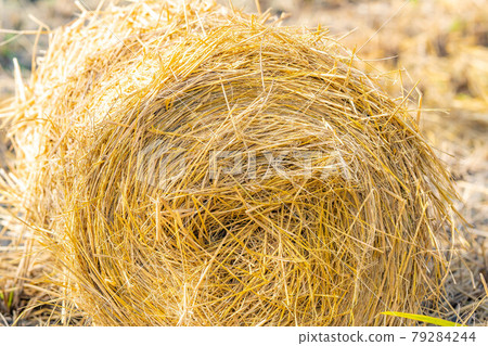 [Autumn material] Rice straw roll [Nagano Prefecture] 79284244