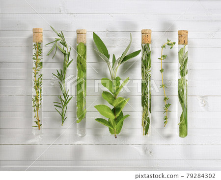 A number of test tubes with medicinal herbs. 79284302