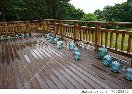 Nature of Kitayamazaki 79285262