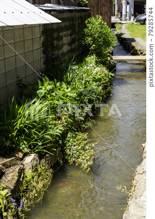 Niimi Gotencho Waterway Niimi City, Okayama Prefecture 79285744