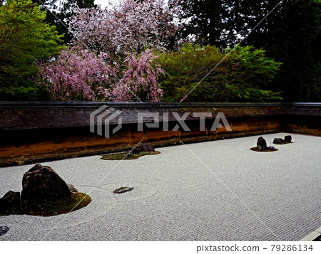 龍安寺的風景 龍安寺的風景 79286134