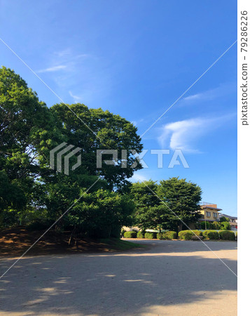 summer park summer park 79286226