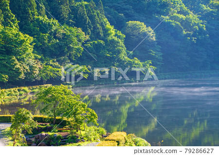 臼井湖坂本水壩 清晨的陰霾 初夏的周邊景色 79286627