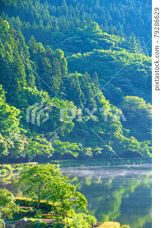 臼井湖坂本水壩 清晨的陰霾 初夏的周邊景色 臼井湖坂本水壩 清晨的陰霾 初夏的周邊景色 79286629
