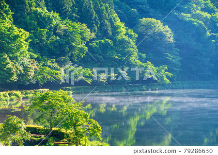 臼井湖坂本水壩 清晨的陰霾 初夏的周邊景色 臼井湖坂本水壩 清晨的陰霾 初夏的周邊景色 79286630