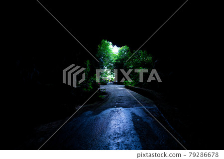 Okinawa Prefecture Ishigaki City Resort Island Heaven Summer Vacation Sightseeing Travel Sabichi Limestone Cave Limestone Dim 79286678