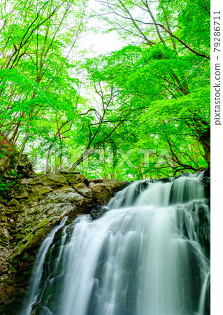 Asama Falls 79286711