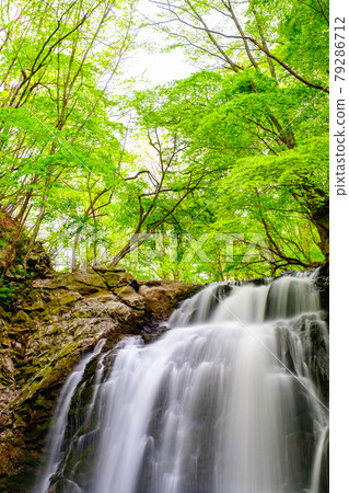 淺間瀑布 淺間瀑布 79286712