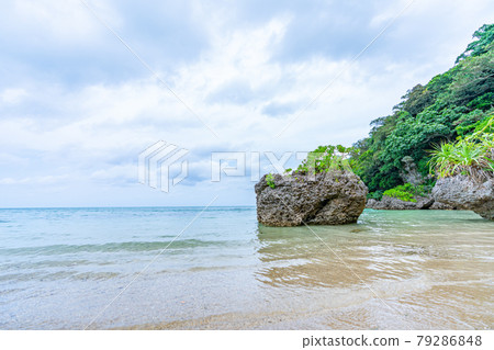 Okinawa Prefecture Ishigaki City Resort Island Heaven Summer Vacation Sightseeing Travel Sabichi Limestone Cave Limestone Cave Beach Jungle Okinawa Prefecture Ishigaki City Resort Island Heaven Summer Vacation Sightseeing Travel Sabichi Limestone Cave Limestone Cave Beach Jungle 79286848
