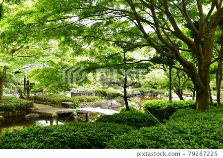 神奈川縣大磯城山公園舊三井別井地區紅葉廣場不動池和新綠 神奈川縣大磯城山公園舊三井別井地區紅葉廣場不動池和新綠 79287225