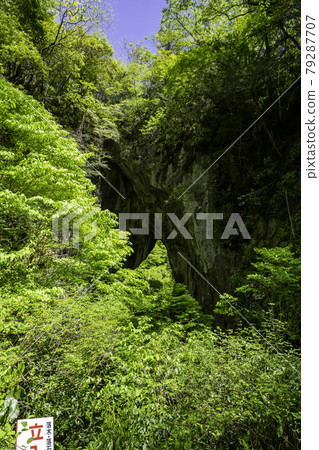 Rashomon, Niimi City, Okayama Prefecture 79287707