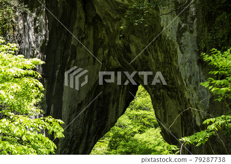 Rashomon, Niimi City, Okayama Prefecture Rashomon, Niimi City, Okayama Prefecture 79287738