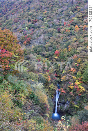 Komadome Waterfall, Autumn Leaves, Nasu, Tochigi Komadome Waterfall, Autumn Leaves, Nasu, Tochigi 79288134