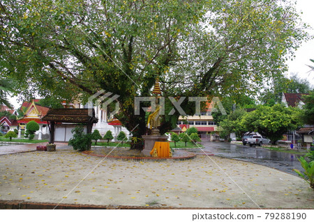 Thailand Wat Hat Yai Nai 79288190