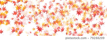 Autumn leaves maple autumn background Autumn leaves maple autumn background 79288209