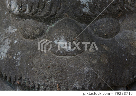 神社里裝著一對錶情幽默的護衛犬 神社里裝著一對錶情幽默的護衛犬 79288713