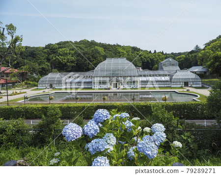 東山動植物園/溫室 79289271