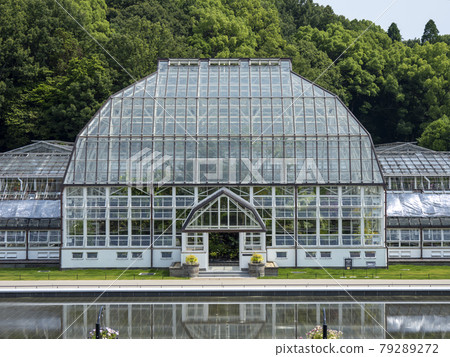 東山動植物園/溫室 東山動植物園/溫室 79289272