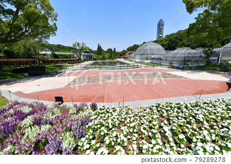 東山動植物園/溫室 79289278