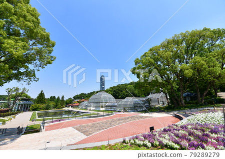 東山動植物園/溫室 東山動植物園/溫室 79289279
