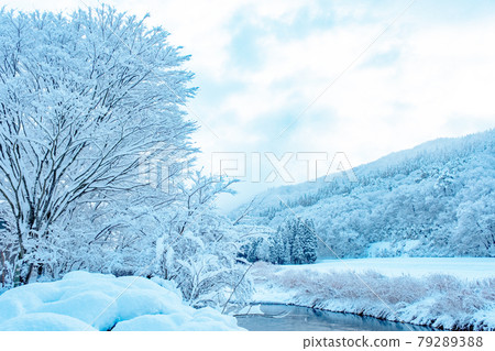 Satoyama snow scene (Hiruzen Highlands) 79289388
