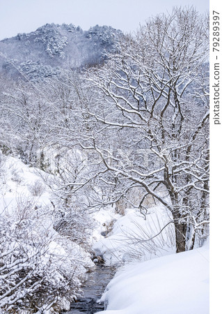 Satoyama snow scene (Hiruzen Highlands) 79289397