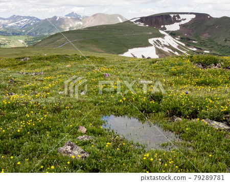 Rocky Mountain national park, USA - trail ridge road 79289781