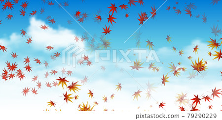 Autumn leaves maple autumn background 79290229