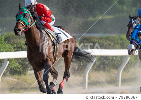 Saga horse racing 79290367