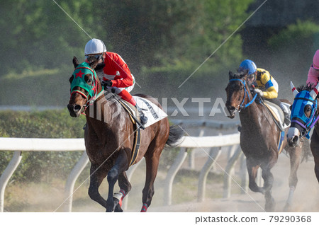 佐賀賽馬 79290368