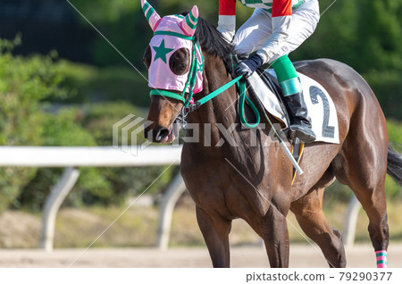 佐賀賽馬 79290377