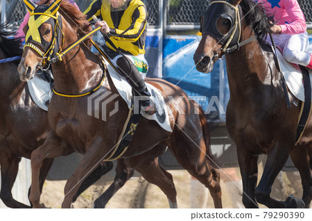 Saga horse racing Saga horse racing 79290390
