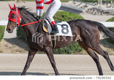 佐賀賽馬 79290392