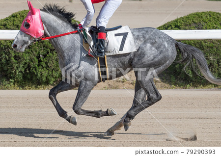 Saga horse racing 79290393