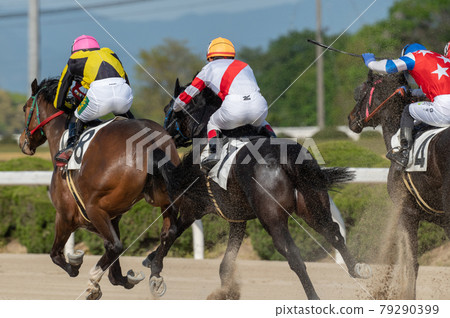 Saga horse racing 79290399