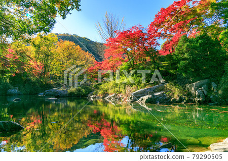 Ranzan Town, Saitama Prefecture Musashi's Little Kyoto Ranzan Valley Autumn Leaves 79290505