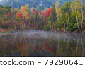 Autumn leaves of Norikura 79290641