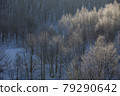 Hokkaido diamond dust morning 79290642