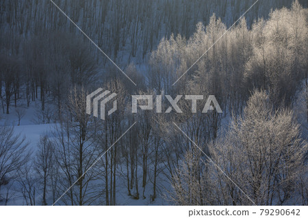 Hokkaido diamond dust morning Hokkaido diamond dust morning 79290642