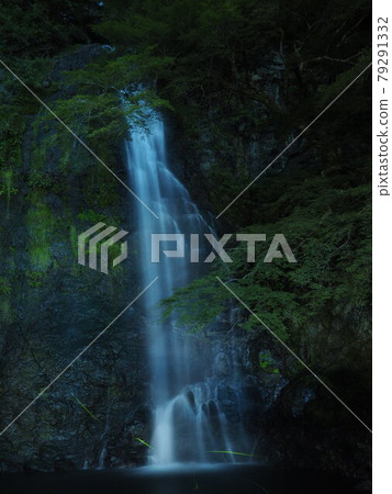 Minoh Falls and Genji Firefly Minoh Falls and Genji Firefly 79291332