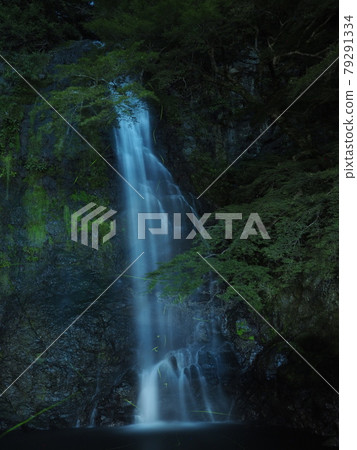 Minoh Falls and Genji Firefly Minoh Falls and Genji Firefly 79291334