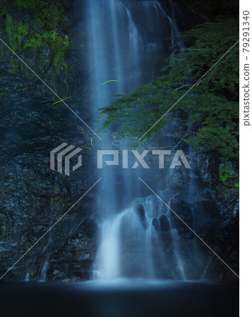 Minoh Falls and Genji Firefly Minoh Falls and Genji Firefly 79291340
