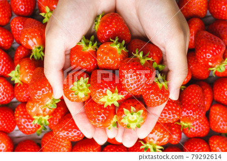 Strawberries full of hands Strawberries full of hands 79292614